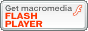 Flashplayer�_�E�����[�h