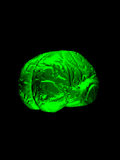 Brain01