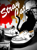 Stray Cat